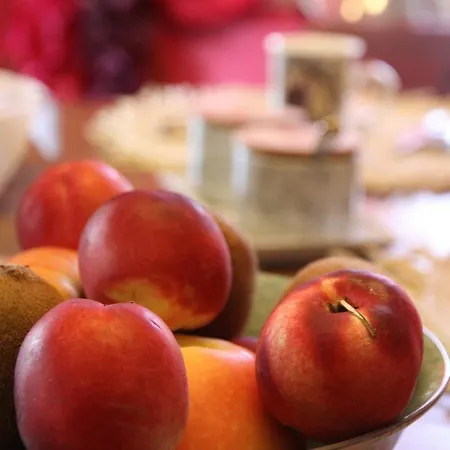 Bed & Breakfast Atelier Des Vidaux Saint-Aunes